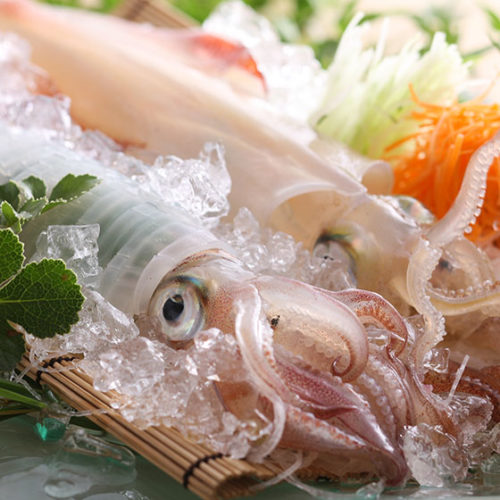 夏 活イカ活け尽くしコース 8月10日まで 公式サイト 香住 波音 はおん の宿 くろしお 夏 活イカ活け尽くしコース 8月10日まで 公式サイト 香住 波音 はおん の宿 くろしお